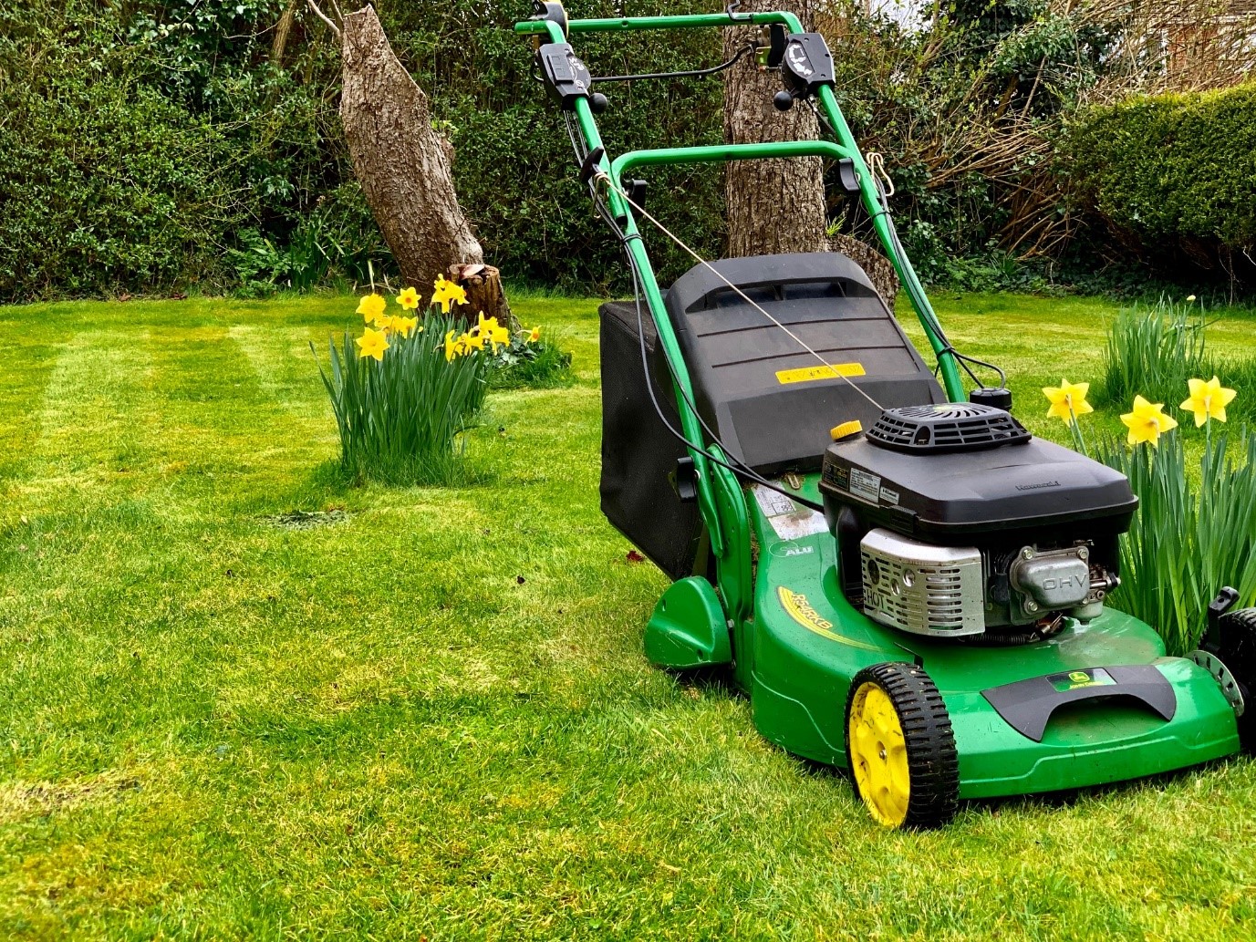 Getting The Perfect Lawn Stripe