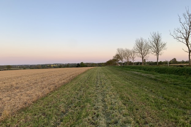 Can Farming Be Sustainable?