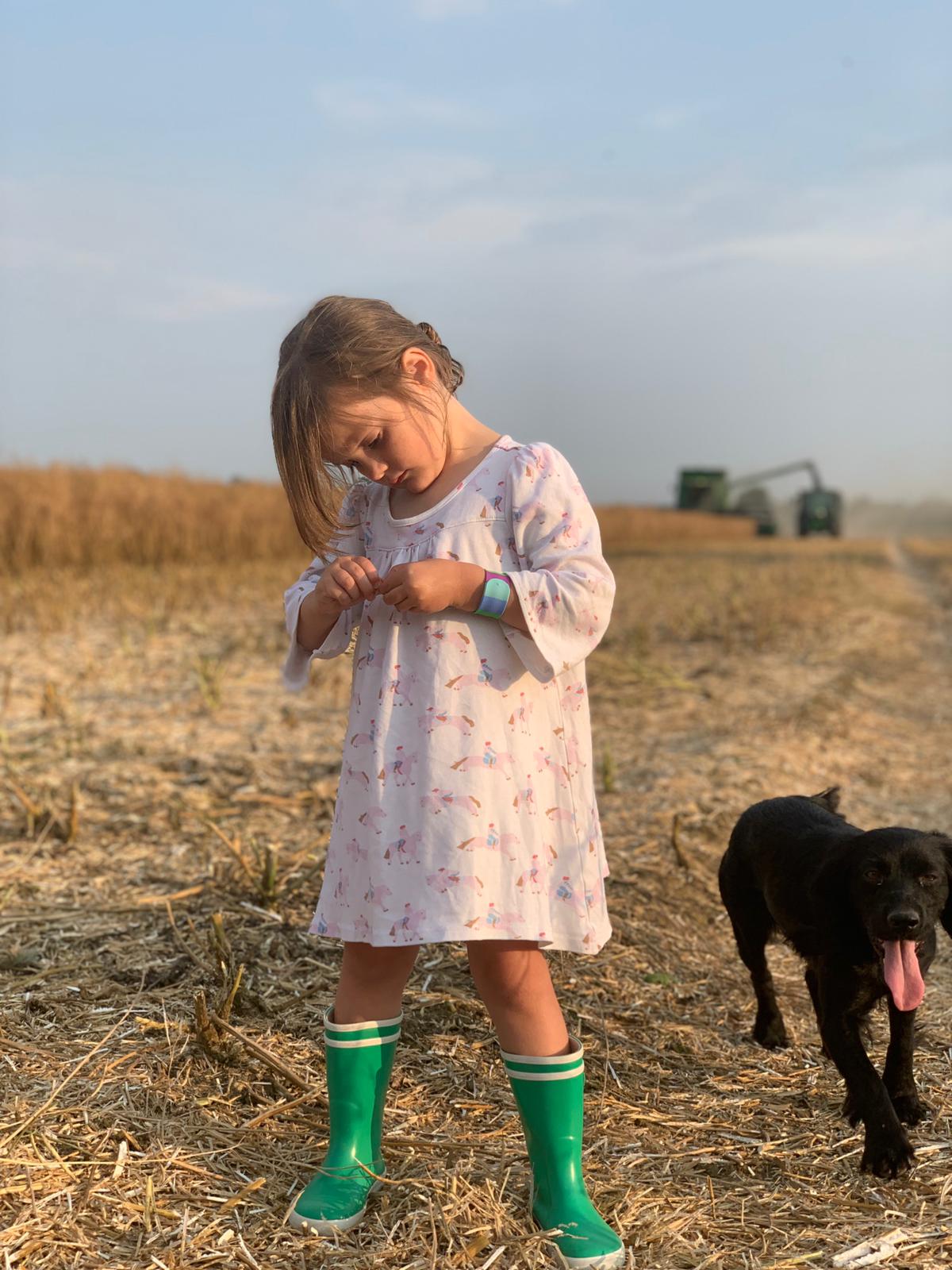 Tuckwells Farms: Harvest Update