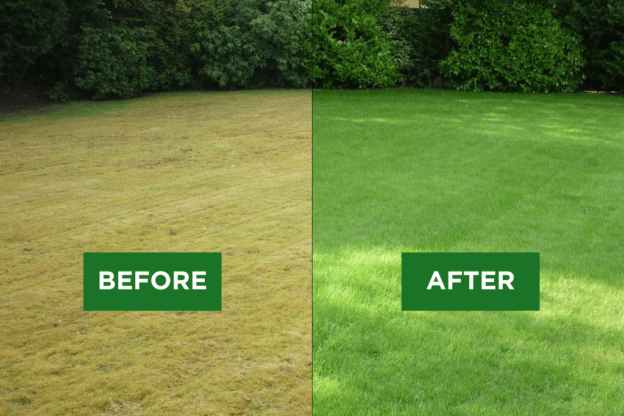 What is Scarifying? All the answers from the Tuckwells Turf Team